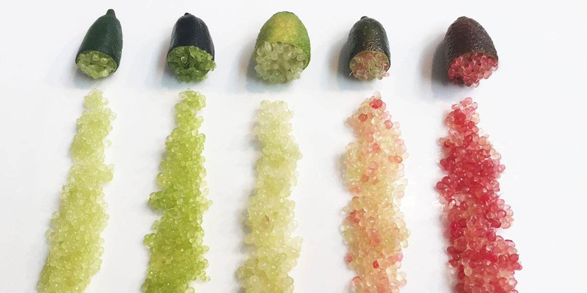 Citron Caviar, il caviale di limone multicolore